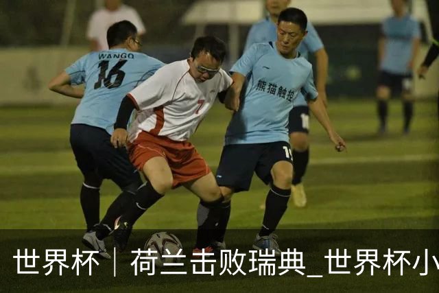 世界杯｜荷兰击败瑞典 世界杯小组赛连续18场不败