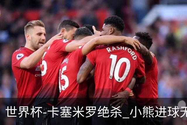 世界杯-卡塞米罗绝杀 小熊进球无效 巴西小胜瑞士
