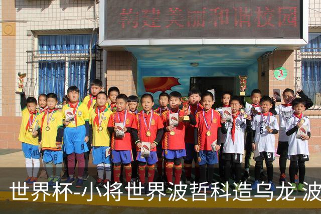 世界杯-小将世界波哲科造乌龙 波黑半场暂2-1卡塔尔