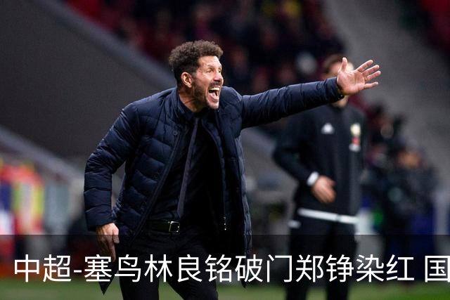 中超-塞鸟林良铭破门郑铮染红 国安2-0泰山取三连胜
