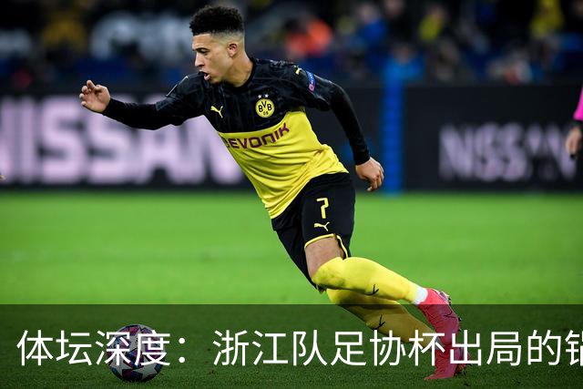 体坛深度：浙江队足协杯出局的锅 该不该由国家队来背