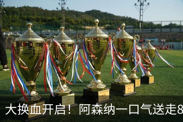 大换血开启！阿森纳一口气送走8名青训队员，重磅买断夺冠功臣