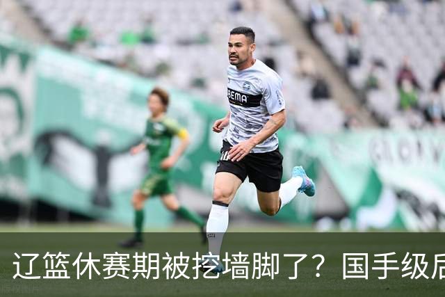辽篮休赛期被挖墙脚了？国手级后卫恐被交易：变相逼着赵继伟走人