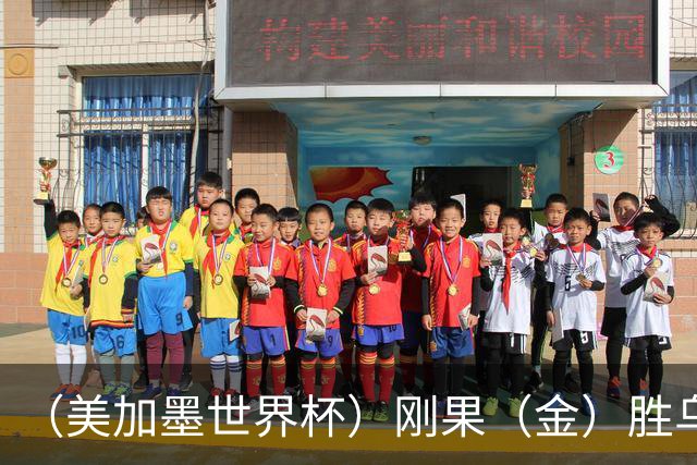 （美加墨世界杯）刚果（金）胜乌兹别克斯坦晋级 韩国无缘32强